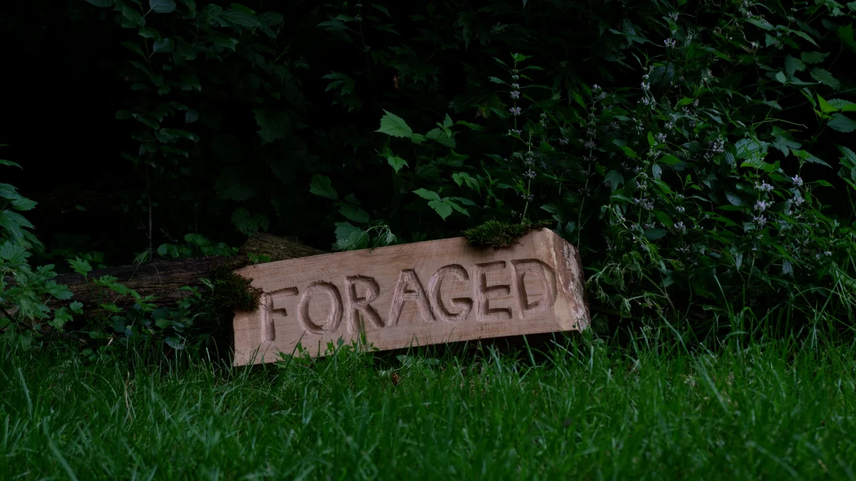 Foraged