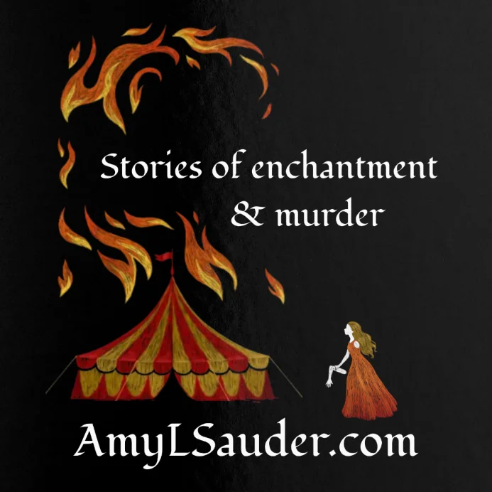 Author Amy L. Sauder
