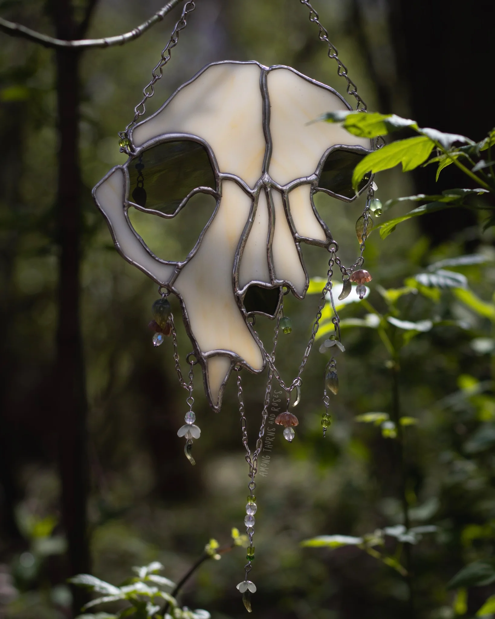 Among Thorns and Roses - Image 7
