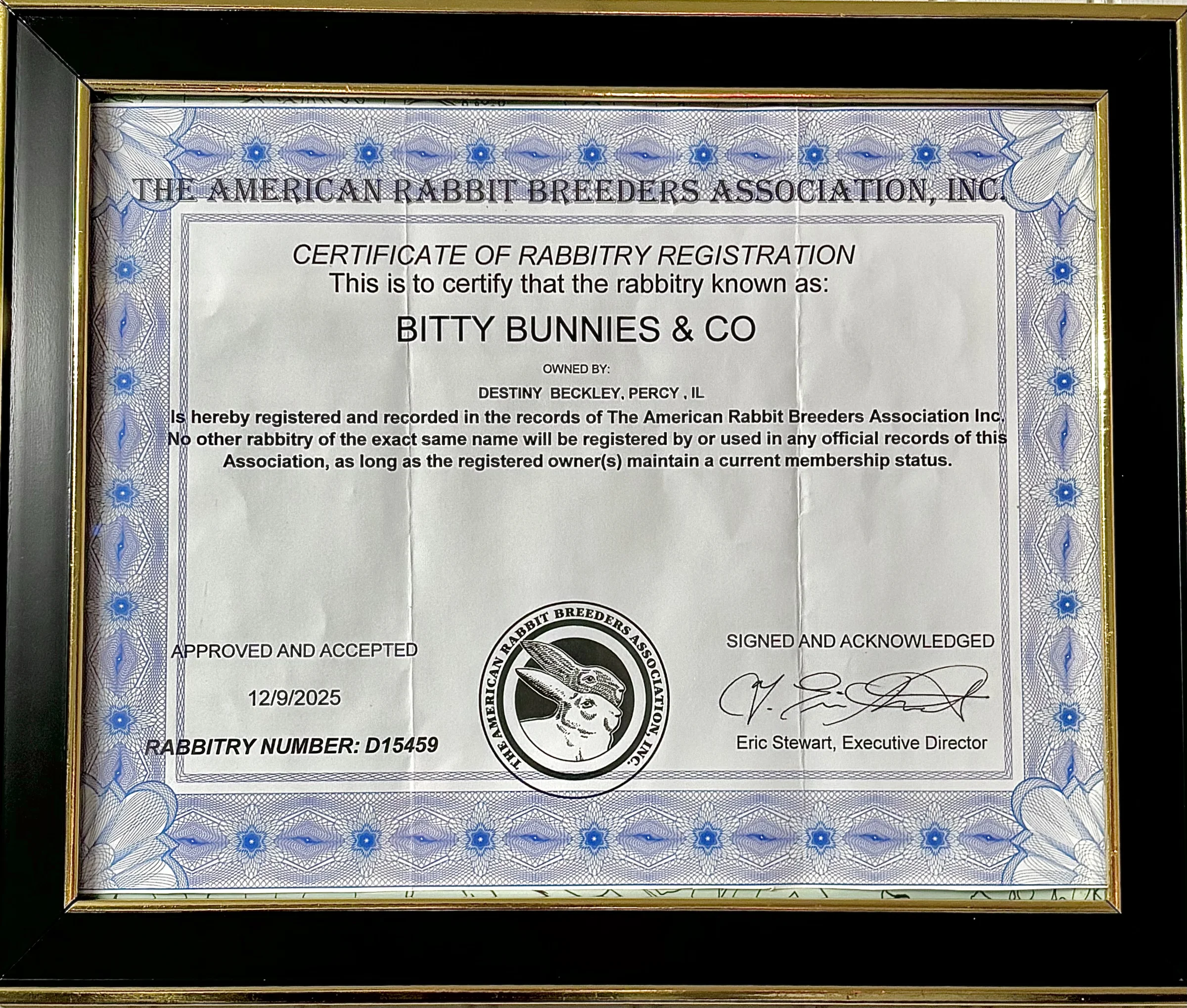 Bitty Bunnies & Co - Image 2