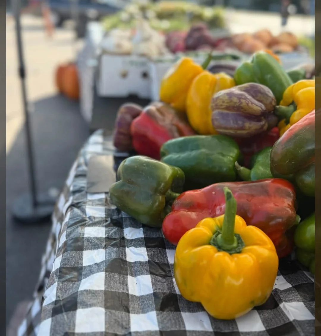 Meyers family farms - Image 3