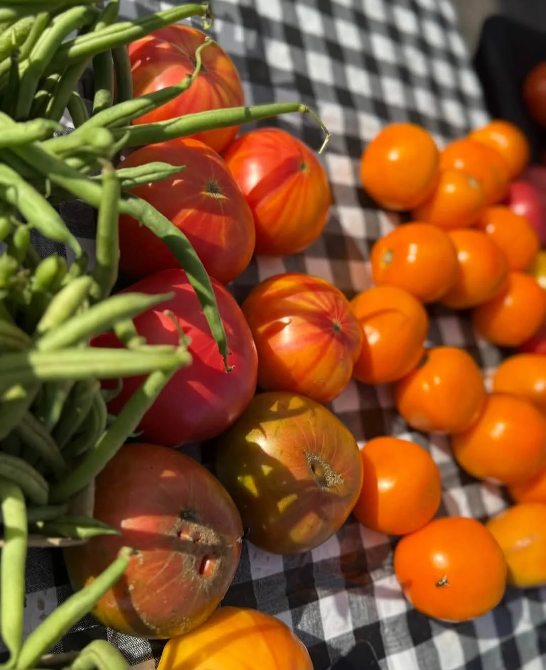 Meyers family farms - Image 4