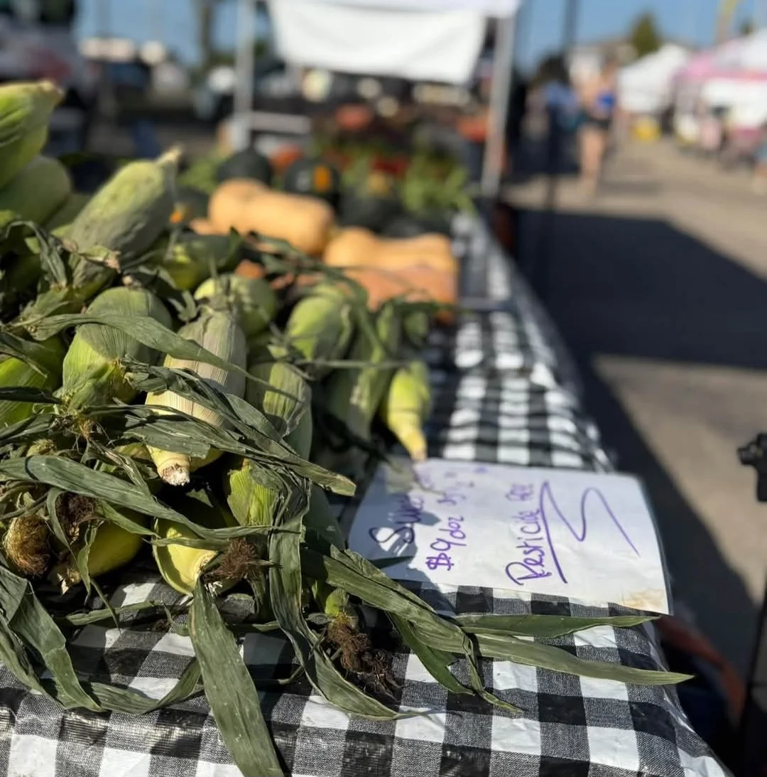 Meyers family farms - Image 5