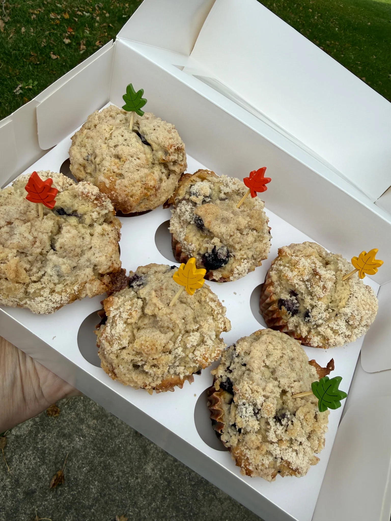 Jess’s Better Days Bakery - Image 8