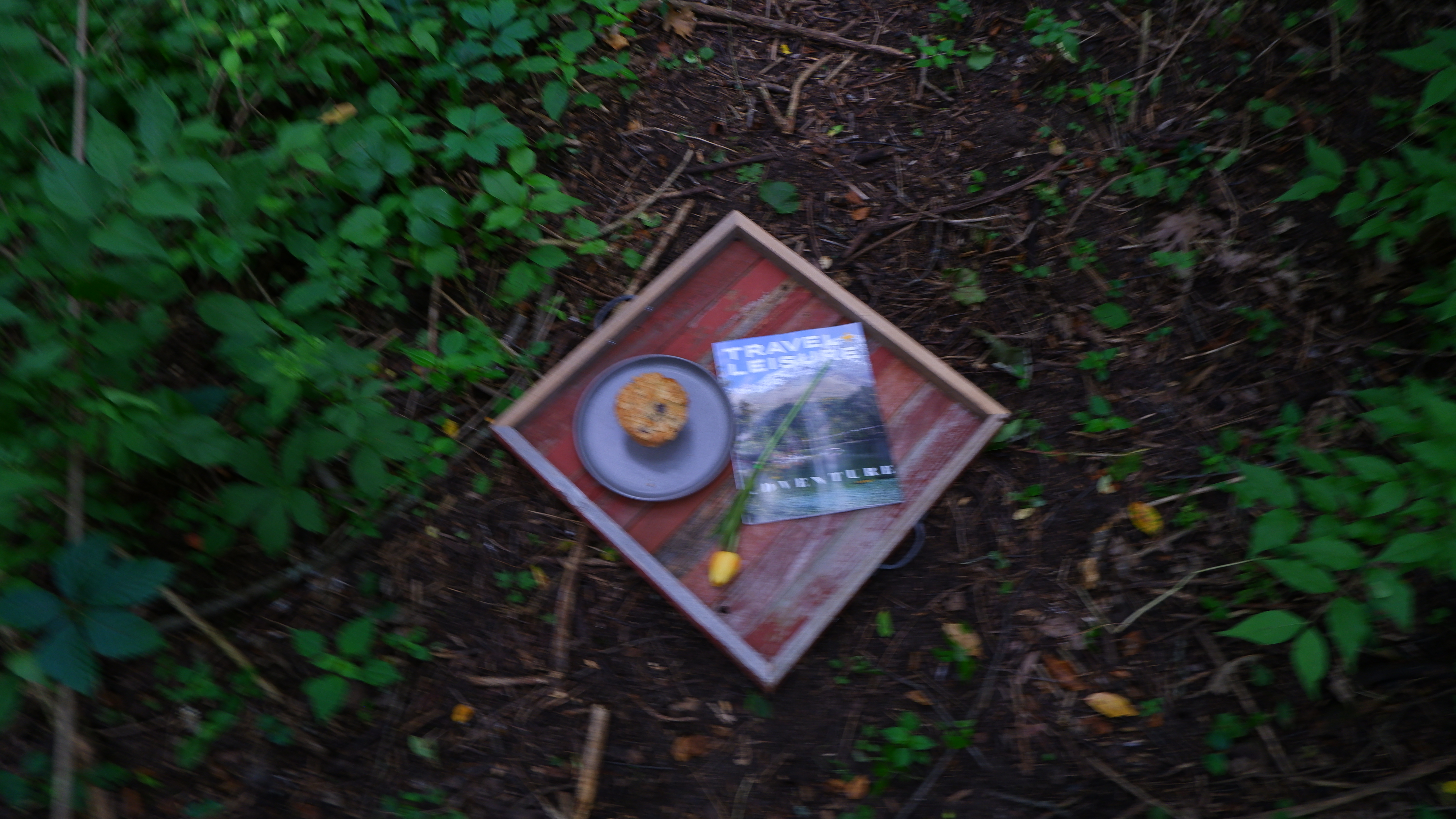 Foraged