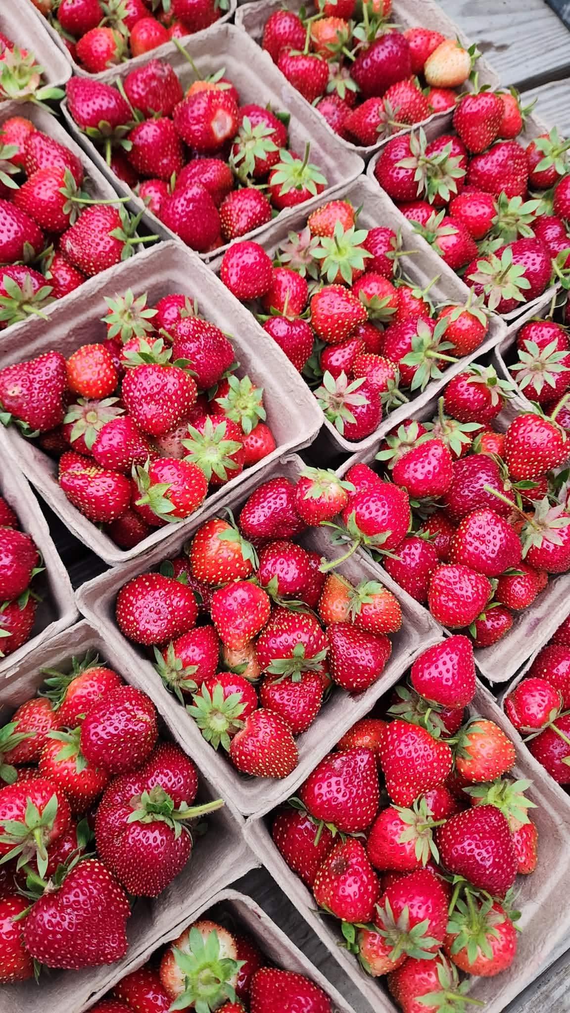 Meyers family farms