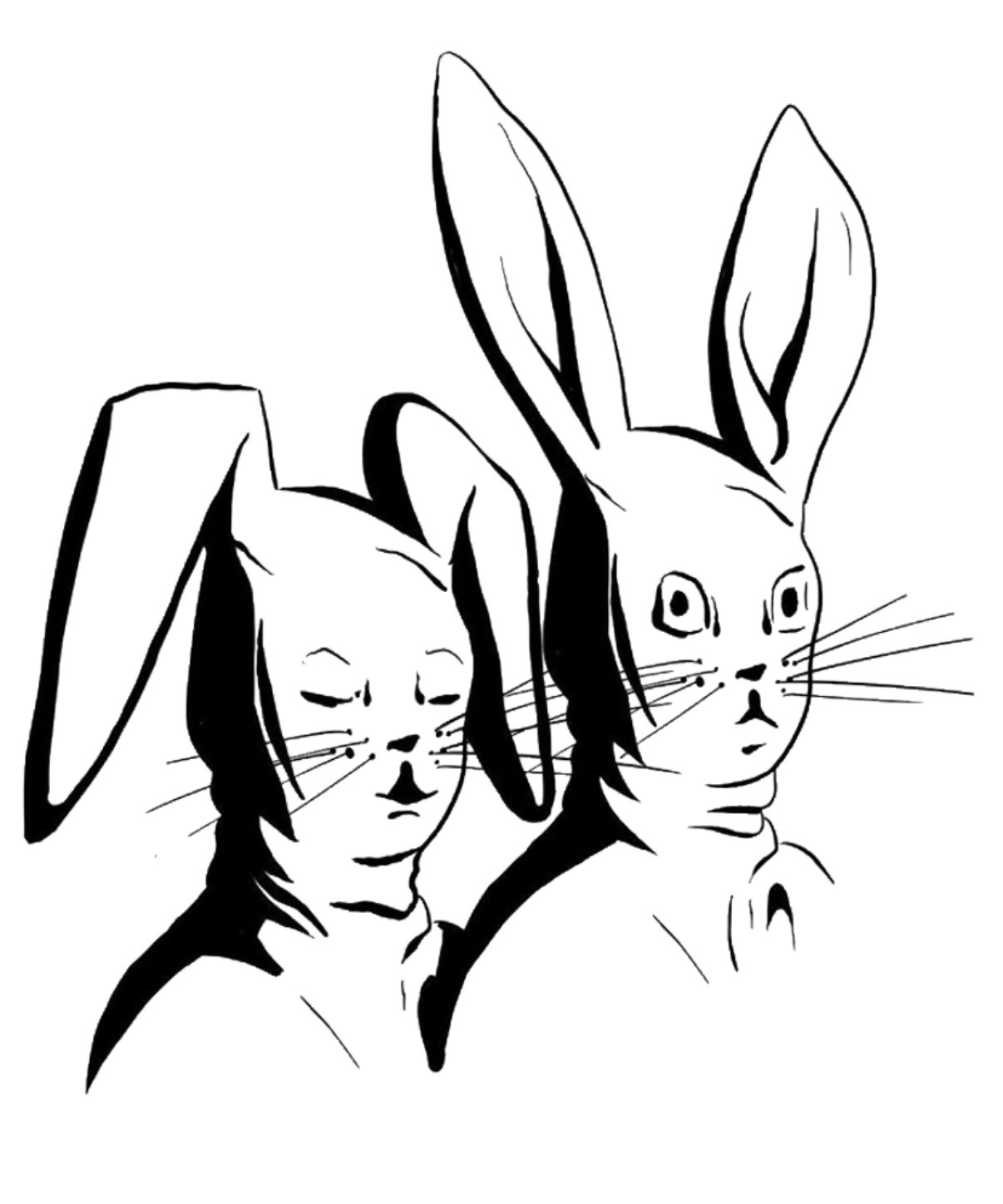 Rabbiteen Oddities