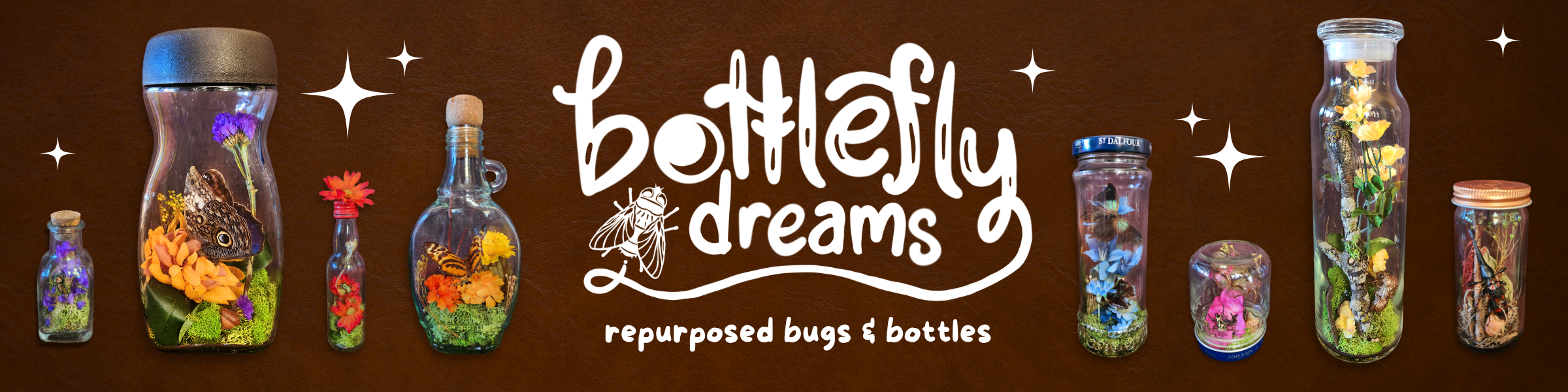Bottlefly Dreams