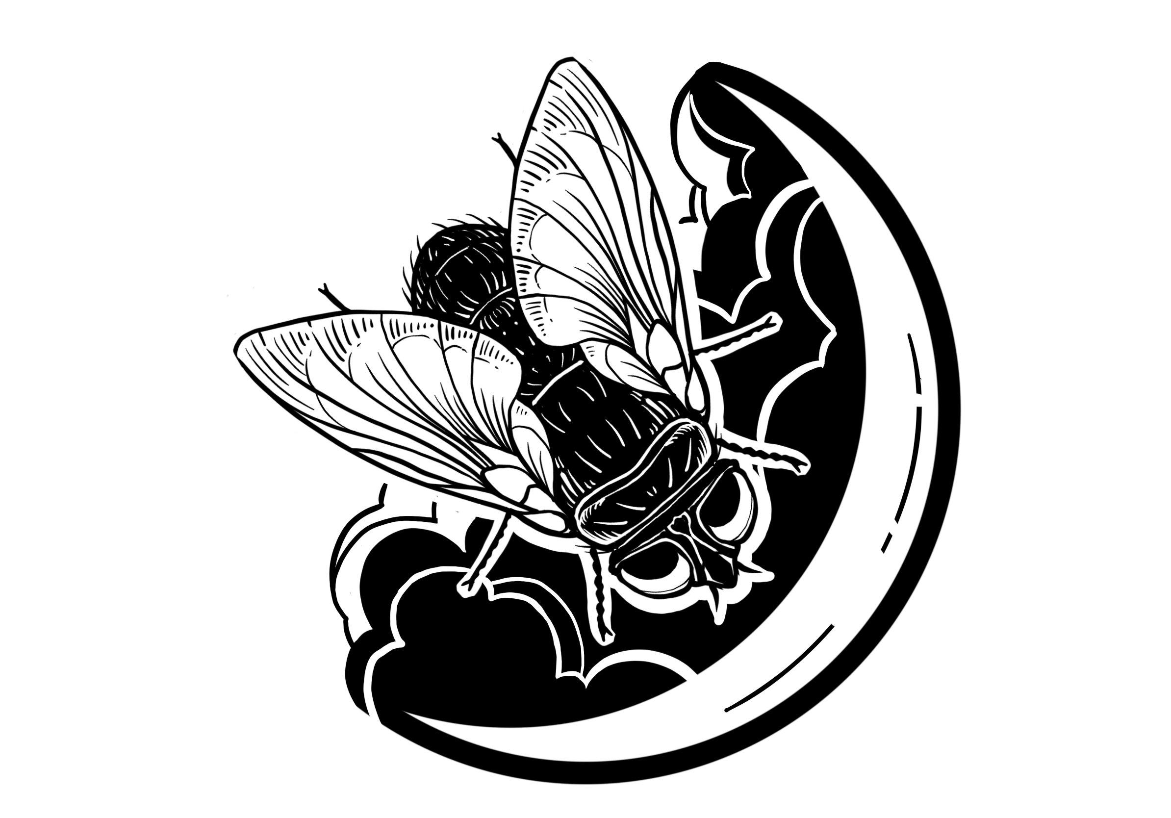 Bottlefly Dreams