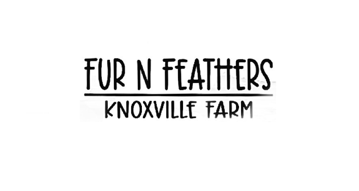 Fur n Feathers at Knoxville Farm